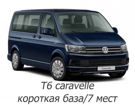 EVA автоковрики для Volkswagen T6 Caravelle 2015-2020 7 мест (короткая база) — t6-7m